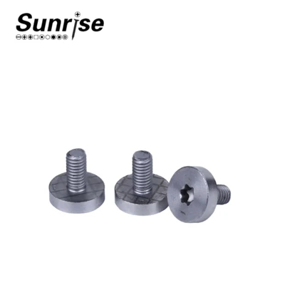 Sgriwiau Cap Pen Peiriant Gyriant Torx